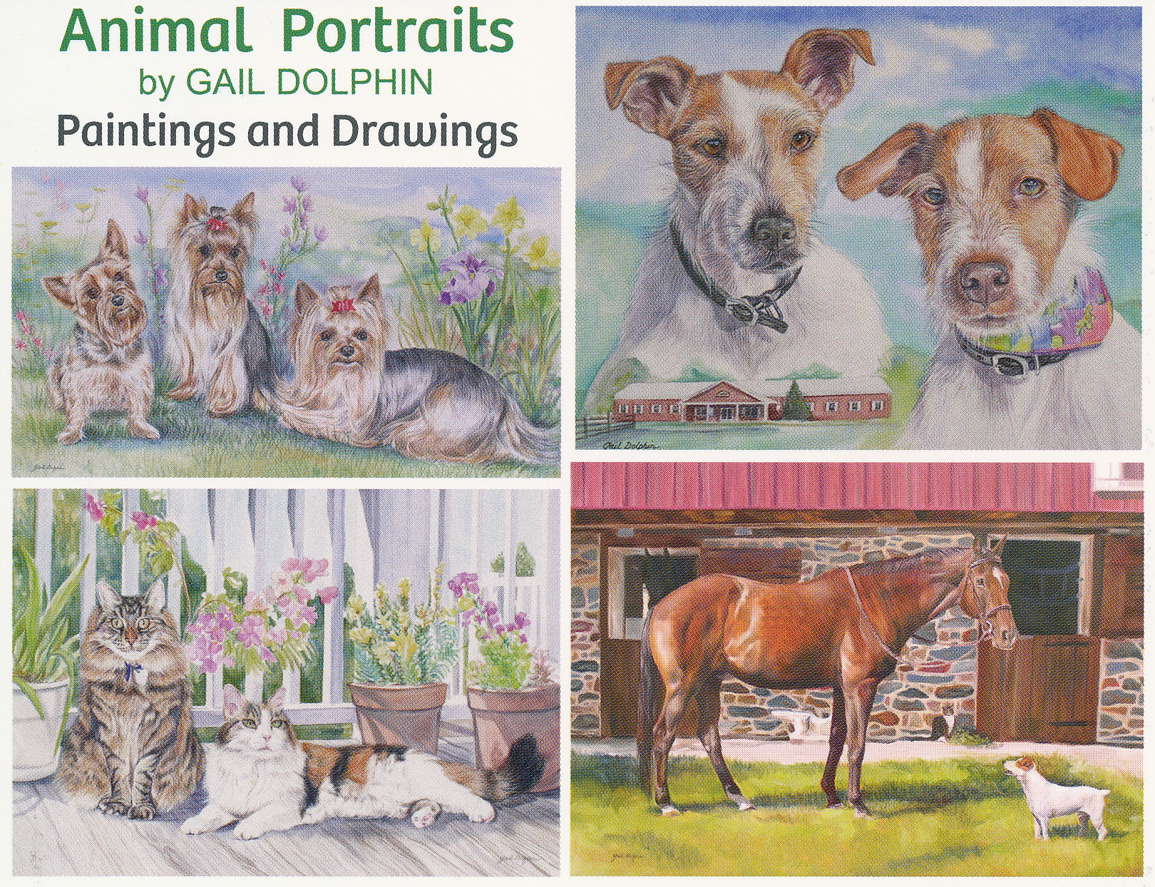 Pet Portraits by Gail Dolphin
