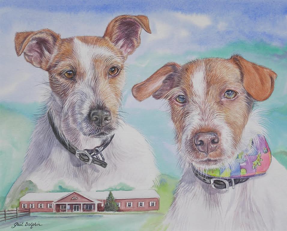 Pet Portraits by Gail Dolphin